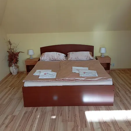 Relax Vila Se Zahradnim Wellness Villa Ostrava