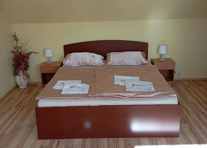 Relax Se Zahradnim Wellness Villa Ostrava